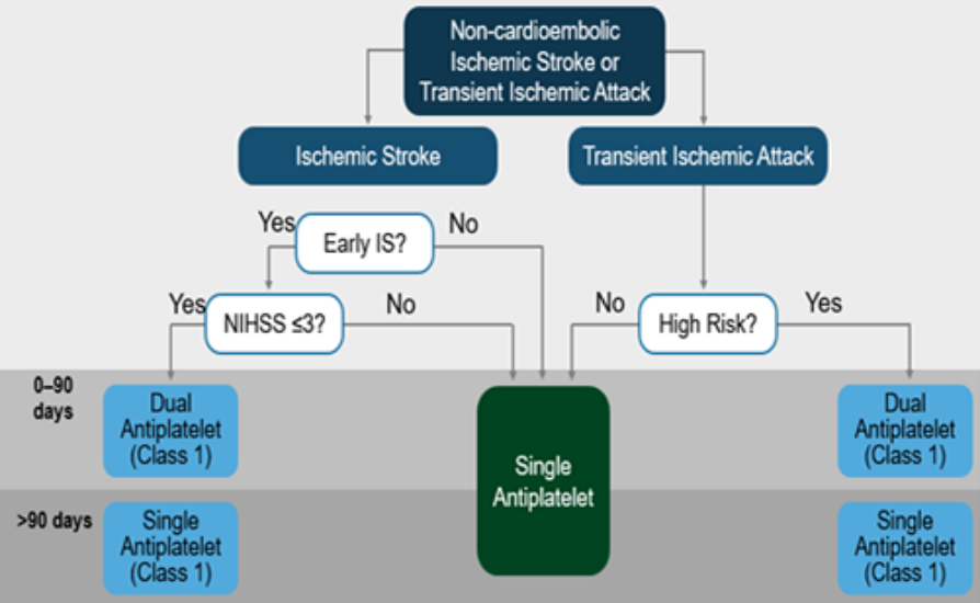 Professional Guidelines and Clinical Practice Recommendations