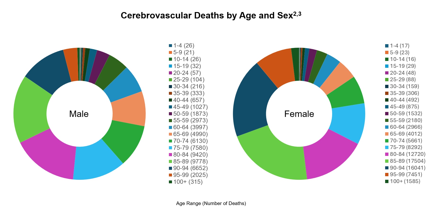 Cerebrovascular Deaths by Age and Sex