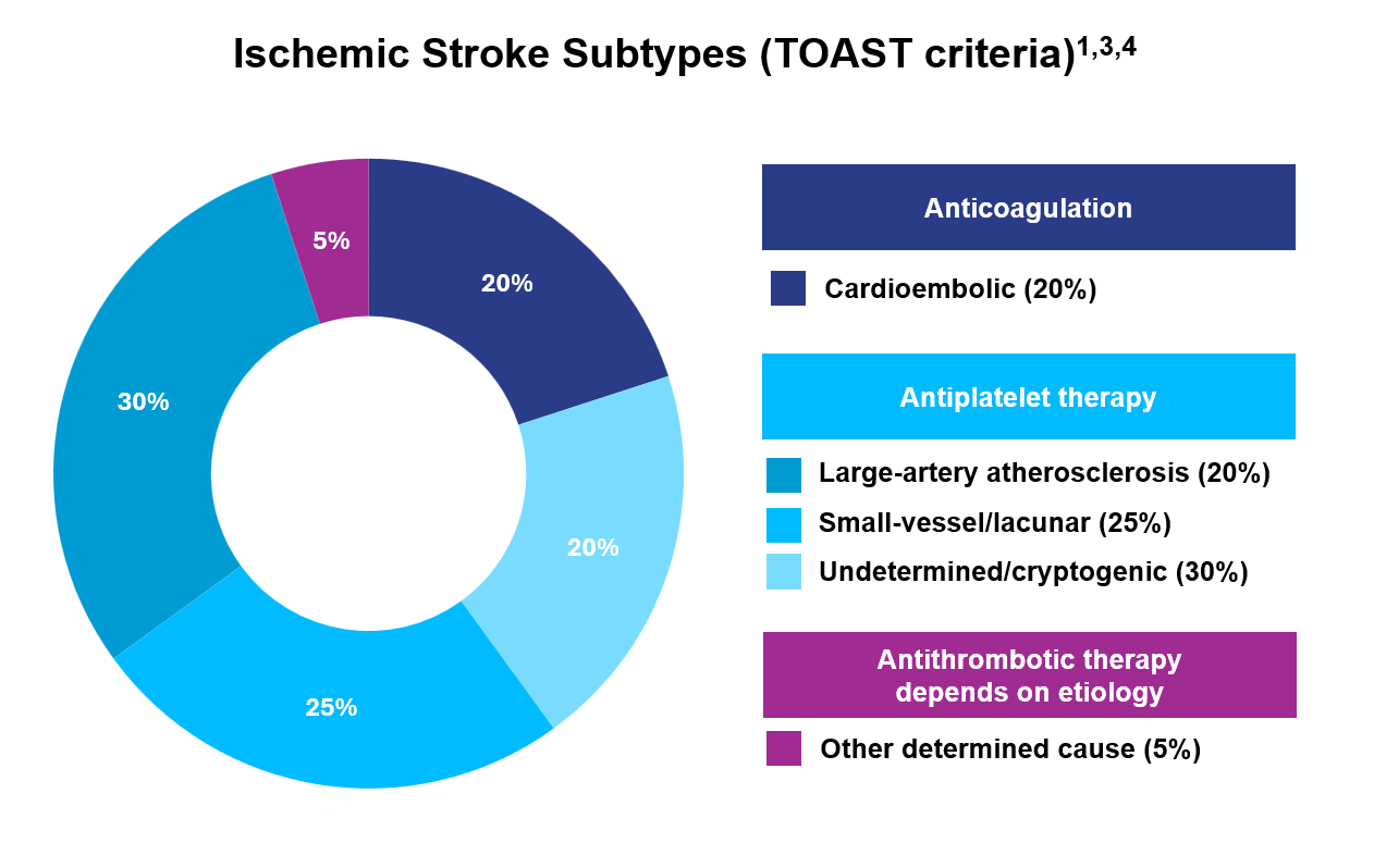Donut chart showing ischemic stroke subtypes by TOAST criteria