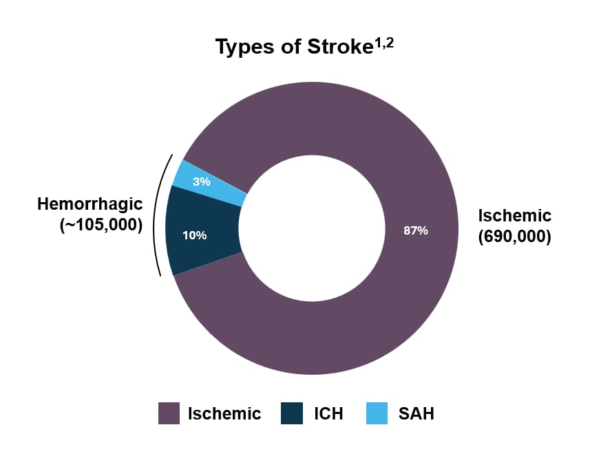 Donut chart showing stroke types with 87% ischemic, 10% intracerebral hemorrhage, and 3% subarachnoid hemorrhage